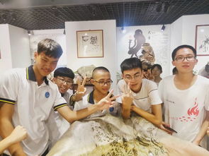 知行合一,砥砺奋进 漳浦达志中学高三学子研学实践活动